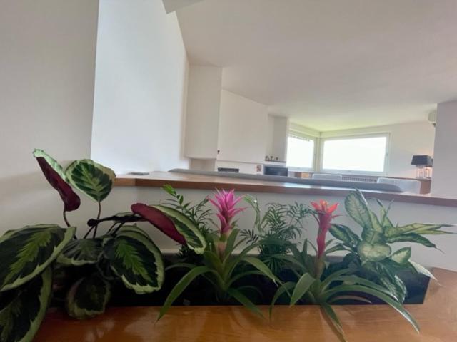 コスタ・ヴォルピーノ Casa Caponettiヴィラ エクステリア 写真